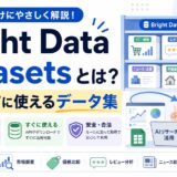 Bright Data Datasetsとは？